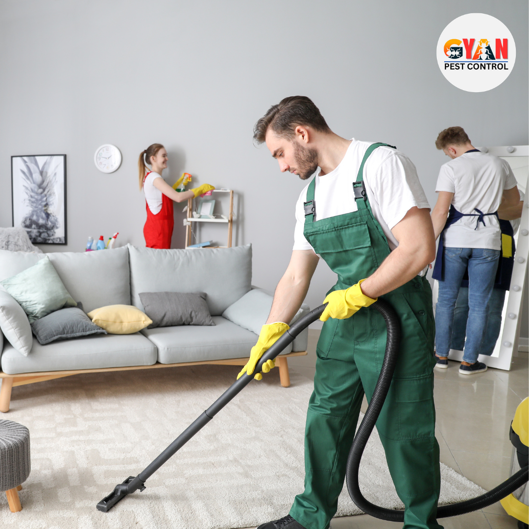 Carpet Cleaning